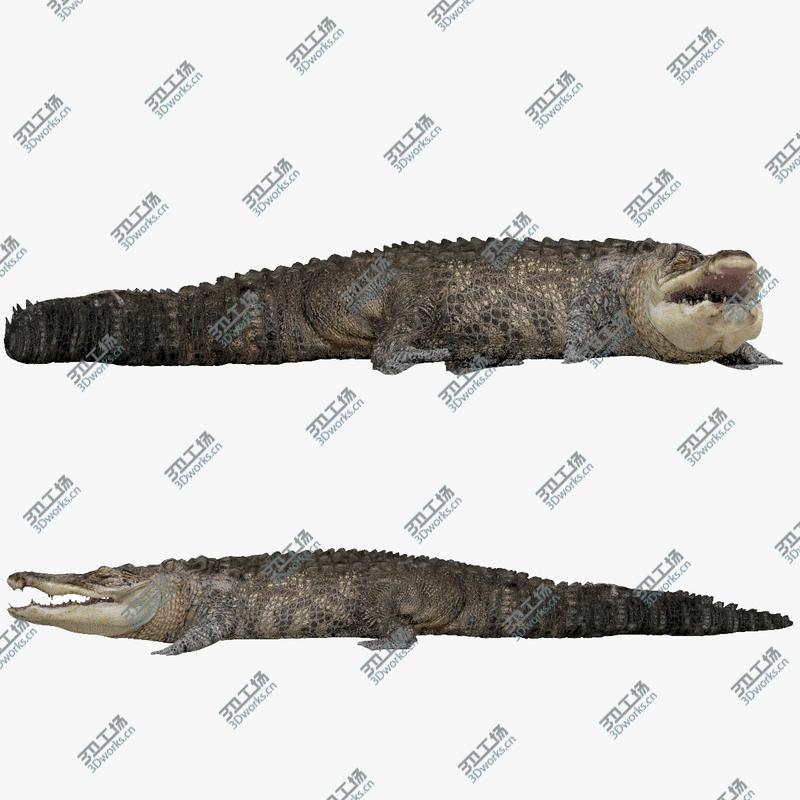 images/goods_img/20210319/3D Crocodile Rigged model/1.jpg